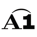 A1
